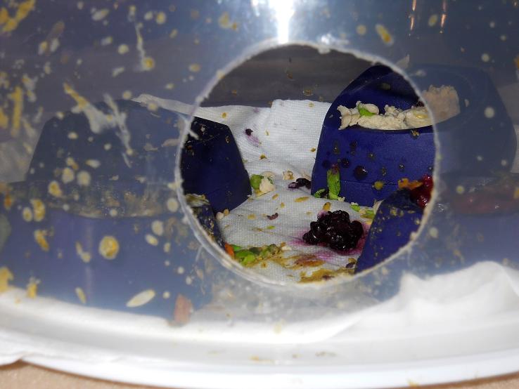 GliderGossip Ultimate Glider Kitchen!!!!!!